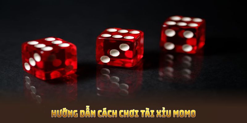 Hướng dẫn cách chơi tài xỉu Momo đơn giản cho người mới