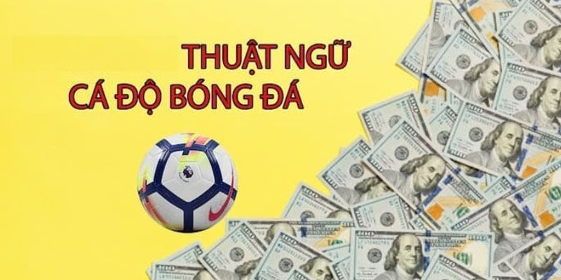 Thuật ngữ cá độ bóng đá SV66