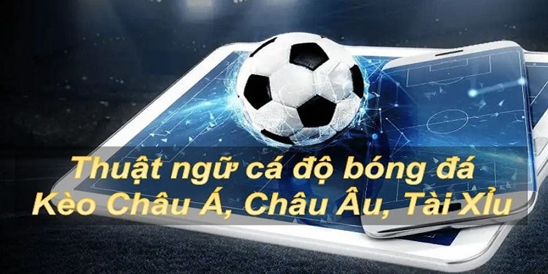 Các thuật ngữ cá độ bóng đá chỉ kèo cược nổi bật