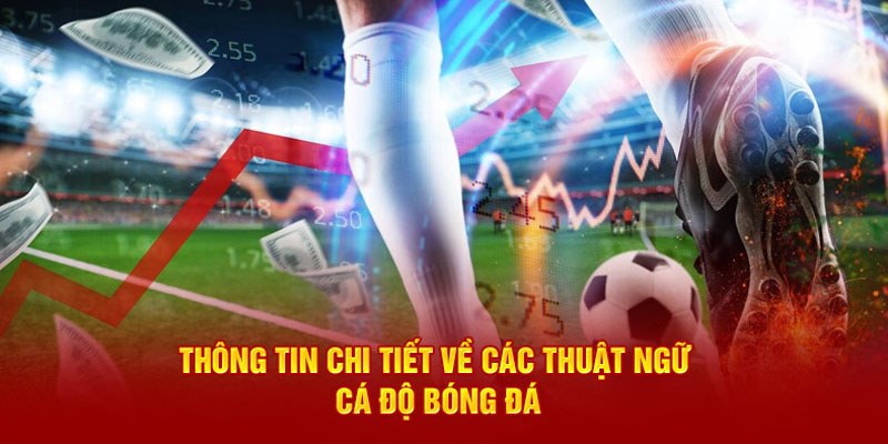 Một vài thuật ngữ chuyên môn khác trong cá độ thể thao vua